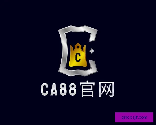 了解CA88官网